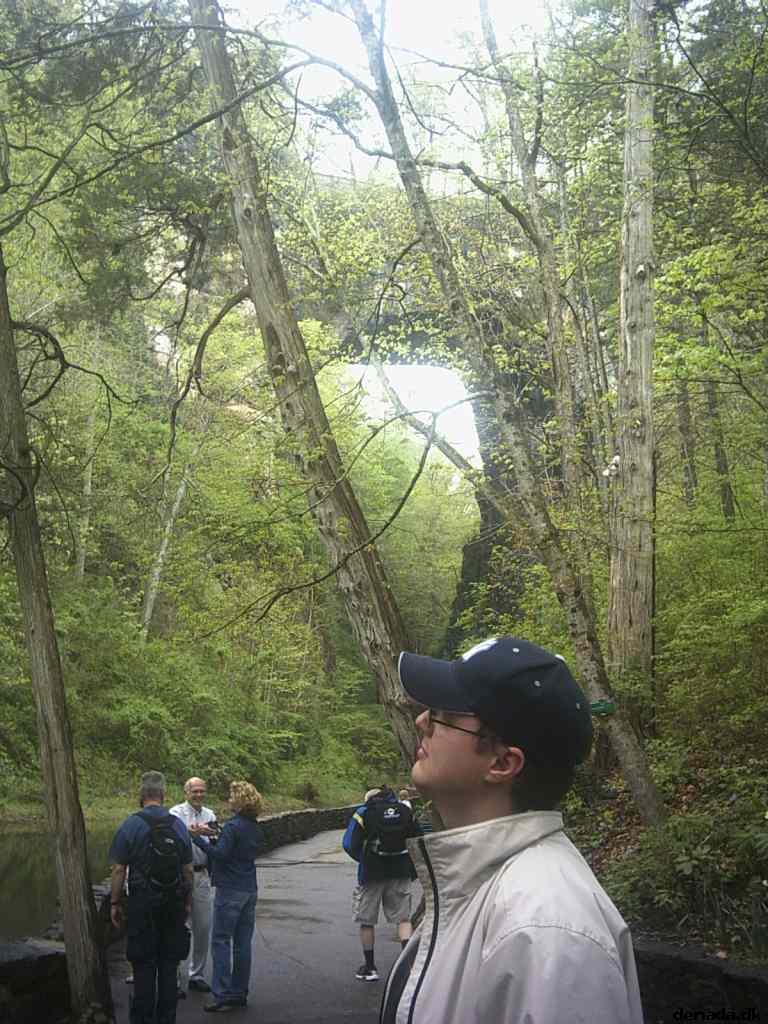 * Image 24