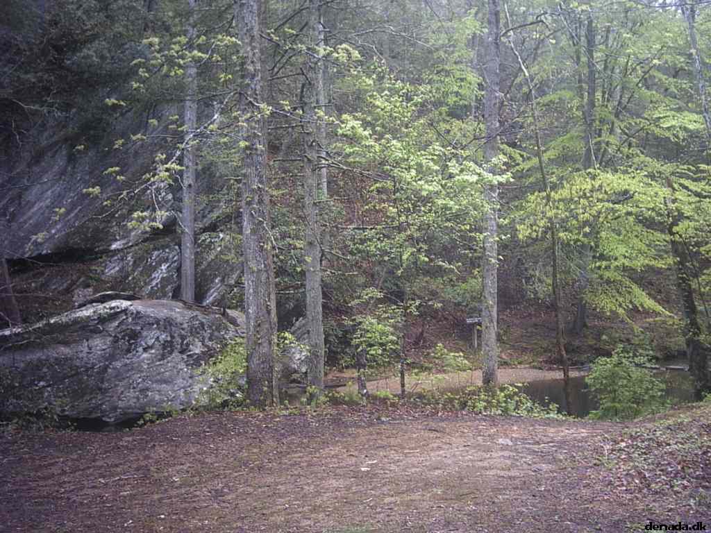 * Image 38