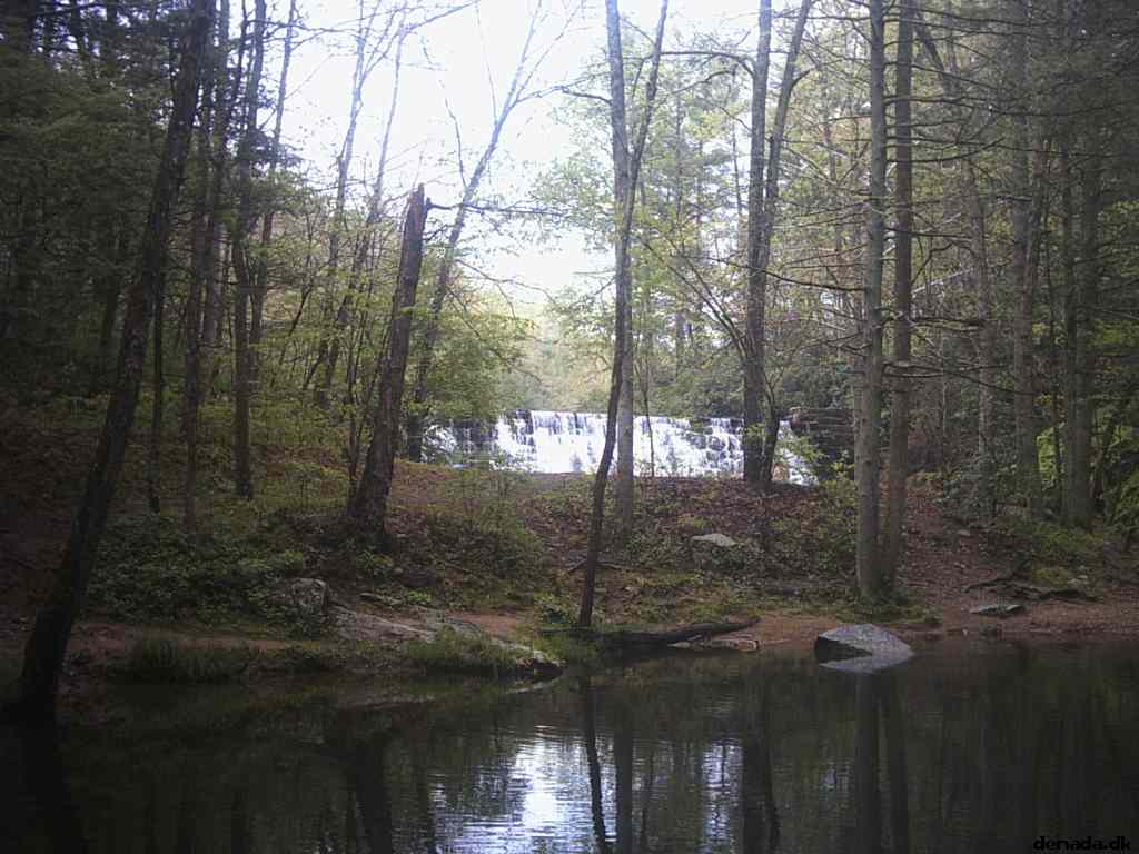 * Image 41