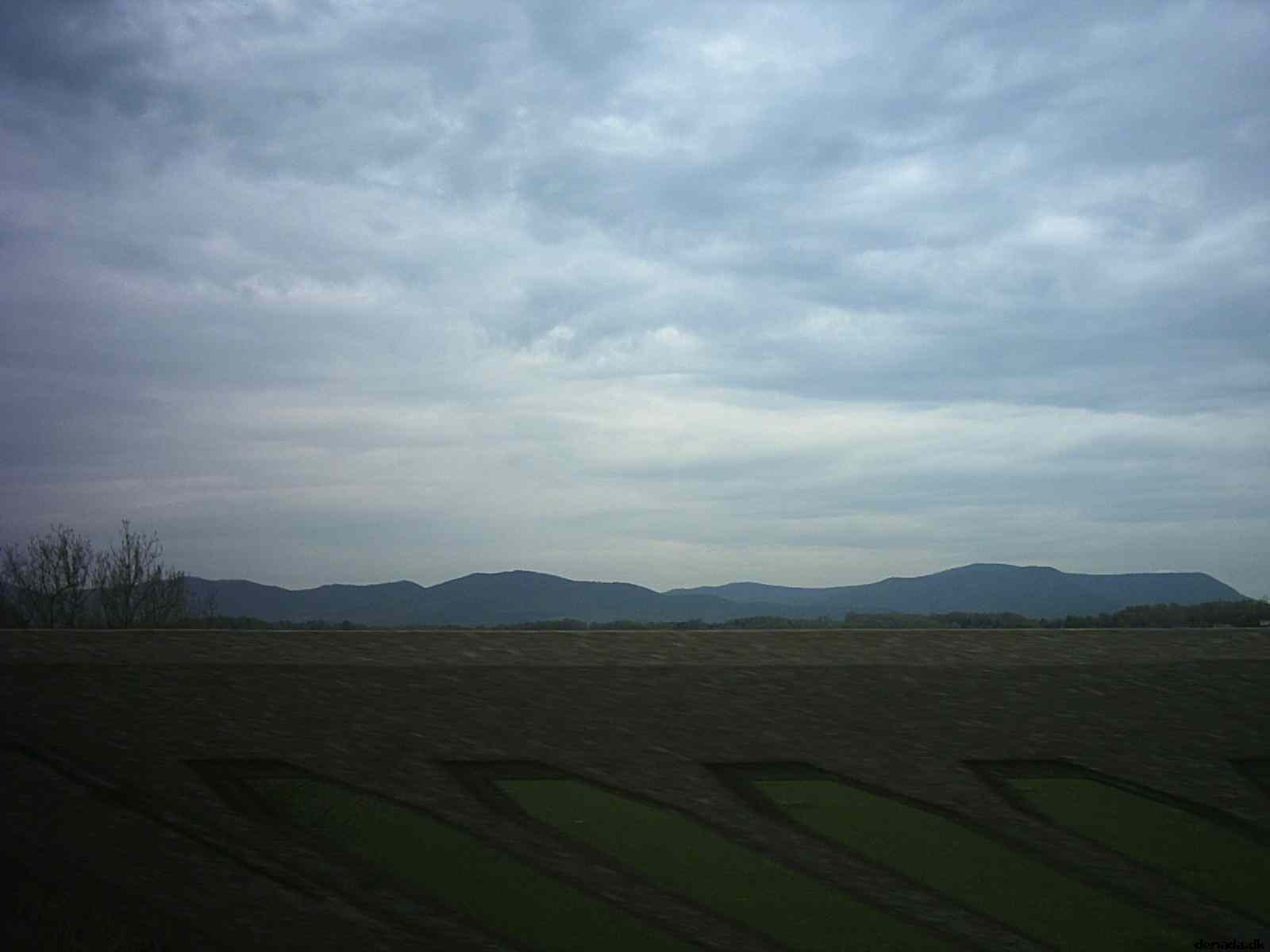 * Image 10