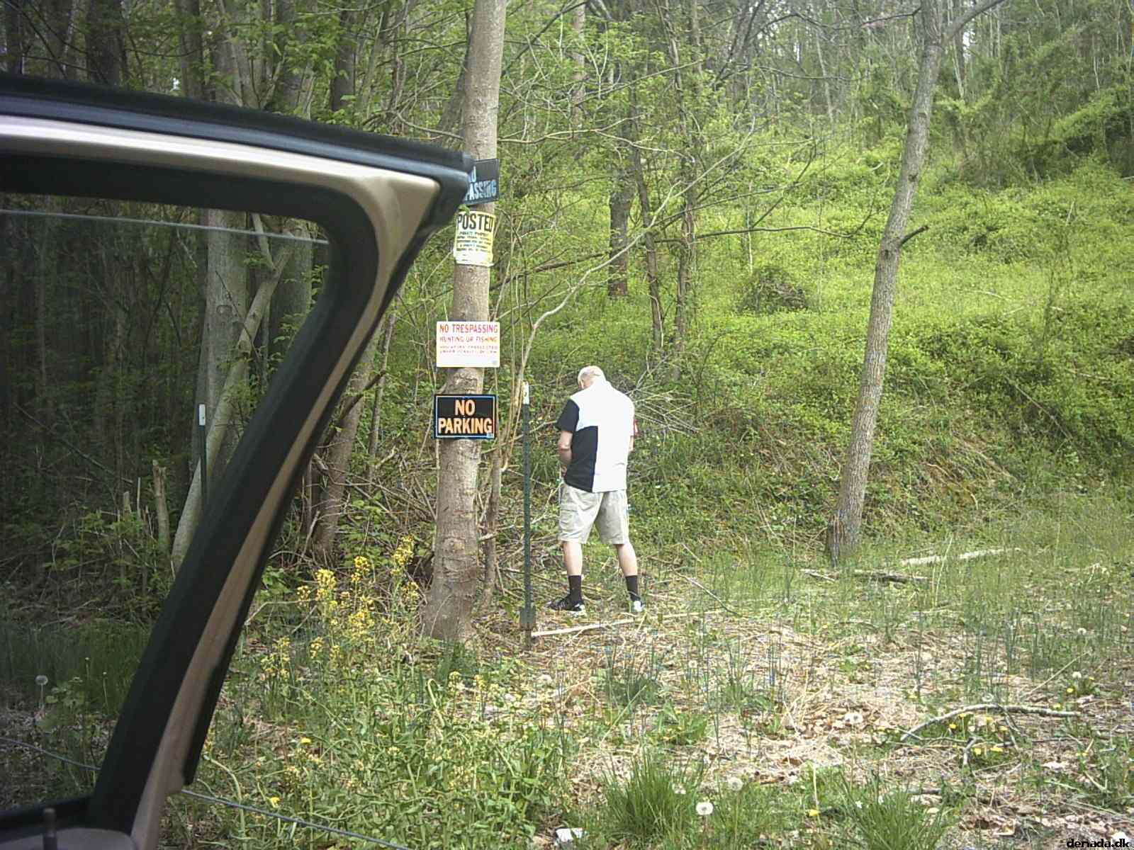* Image 13
