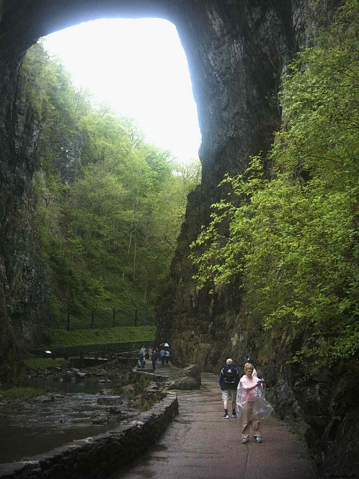 * Image 27