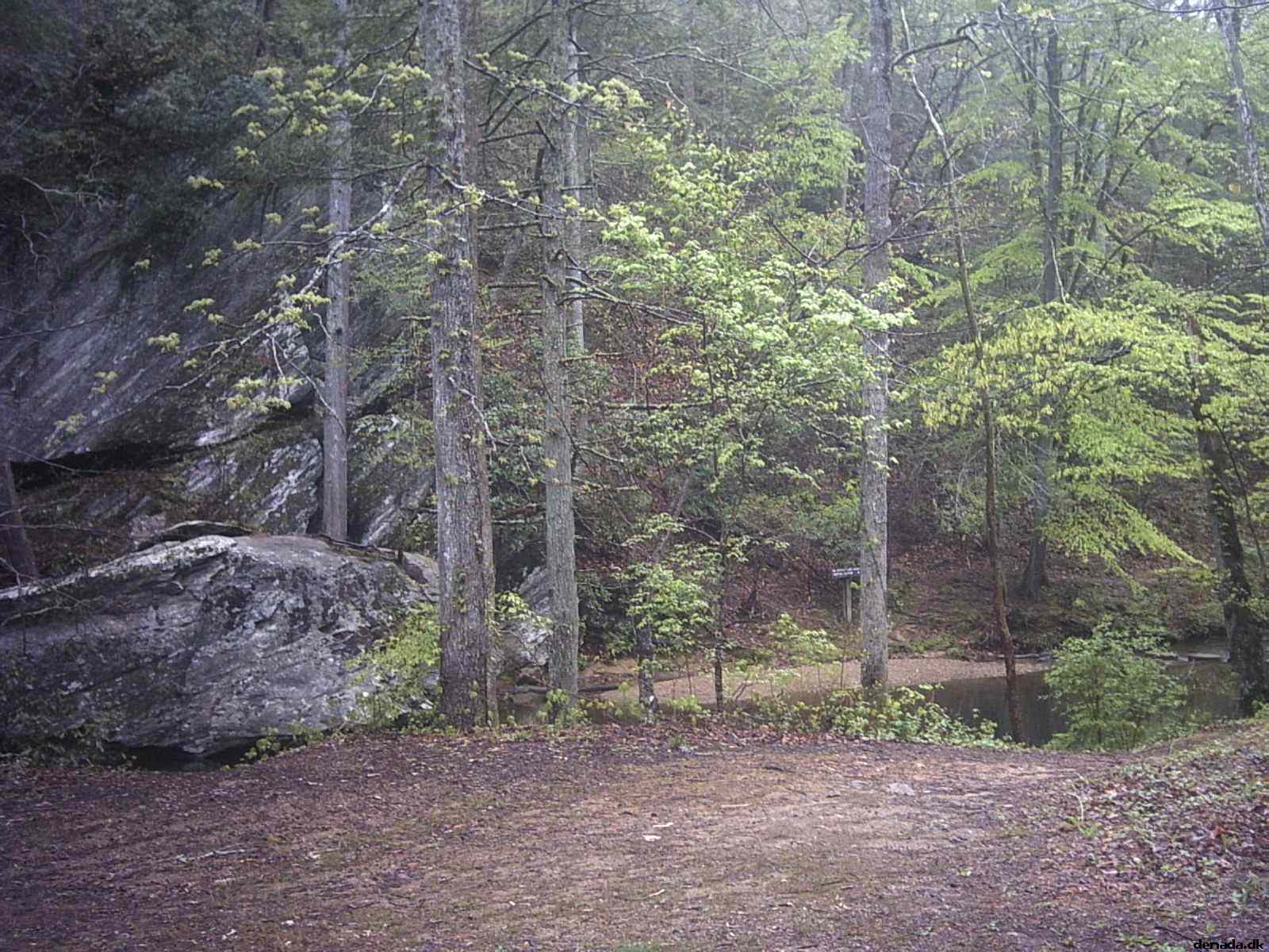 * Image 38