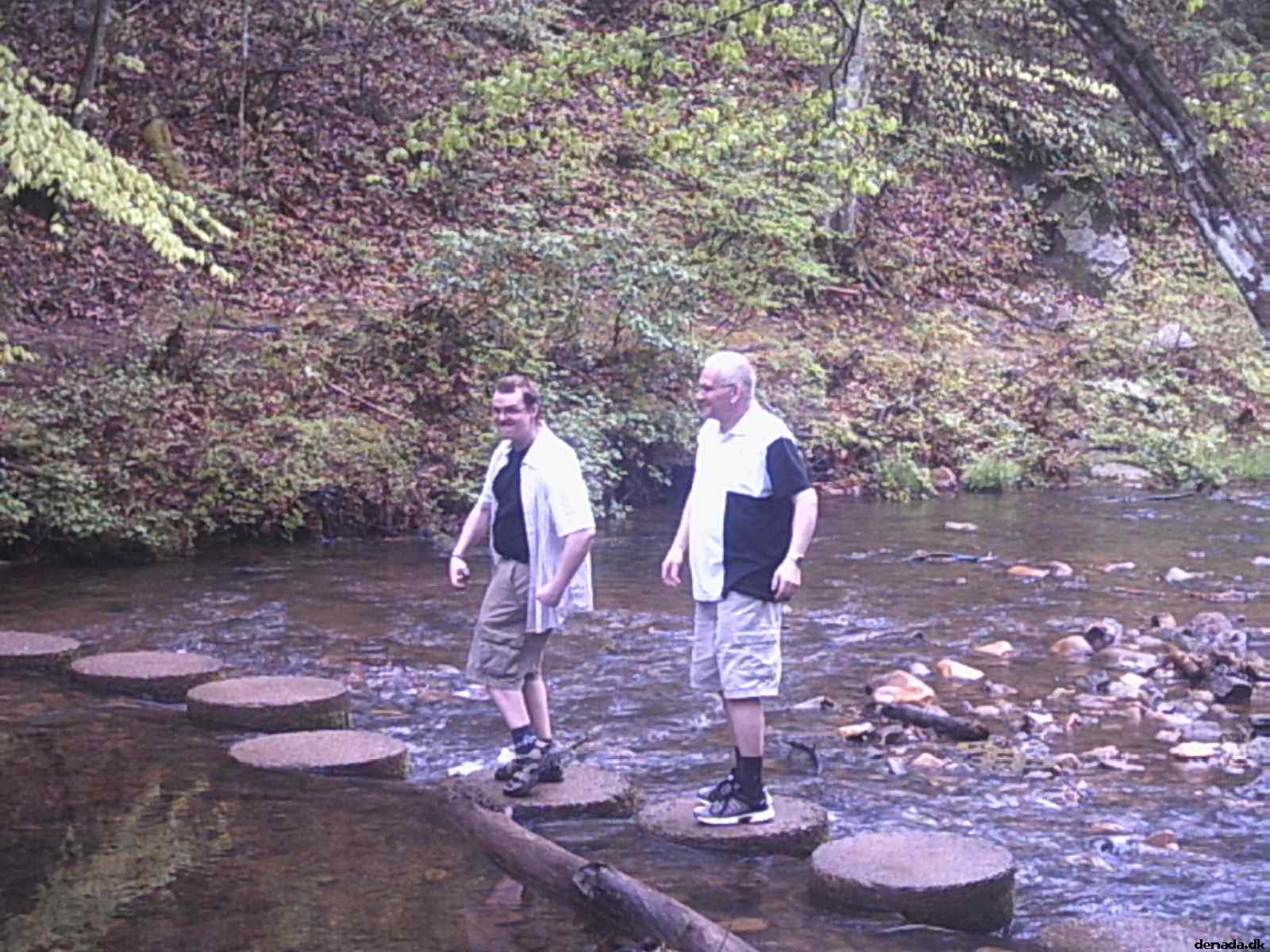 * Image 40