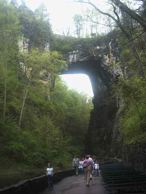 * Image 25