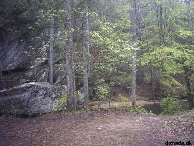 * Image 38