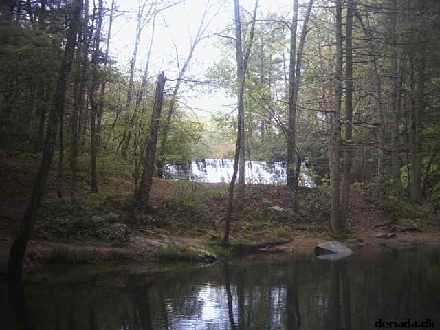 * Image 41