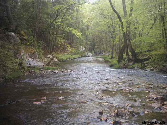 * Image 42