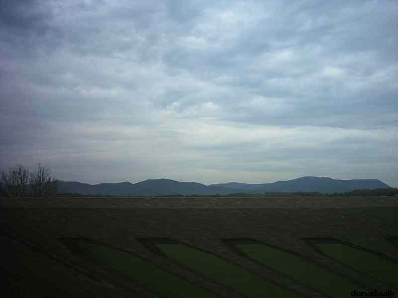 * Image 10
