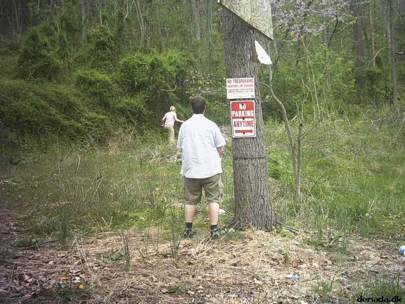 * Image 12