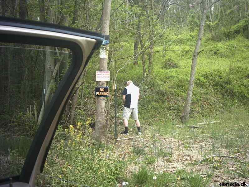 * Image 13