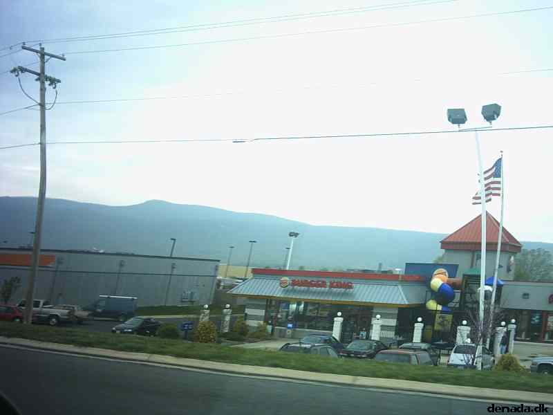 * Image 14