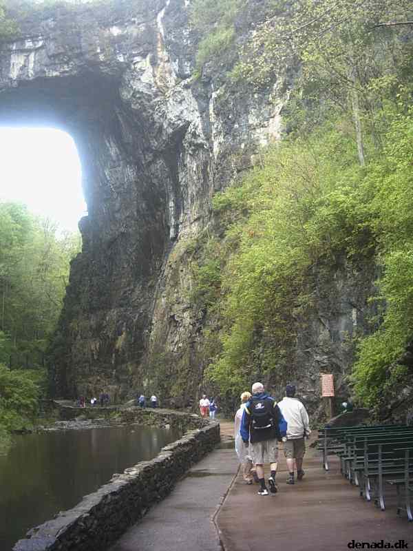 * Image 26