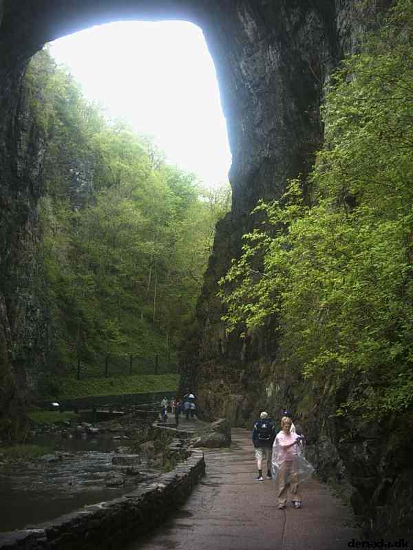 * Image 27