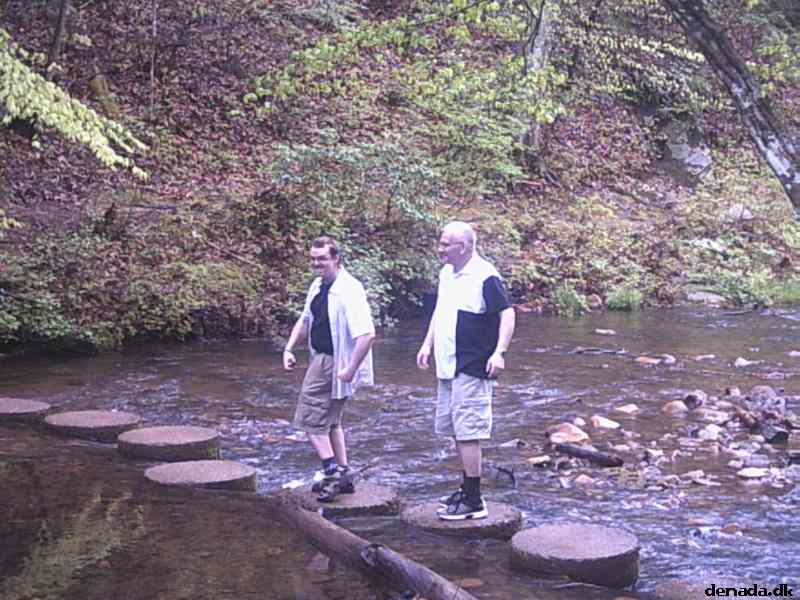 * Image 40