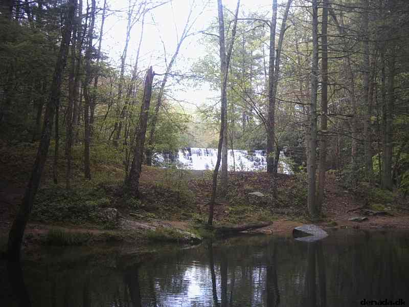 * Image 41