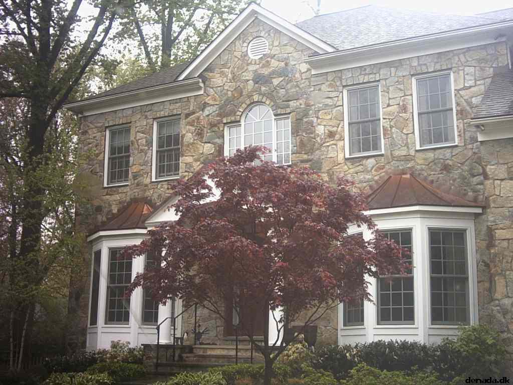 * Image 1