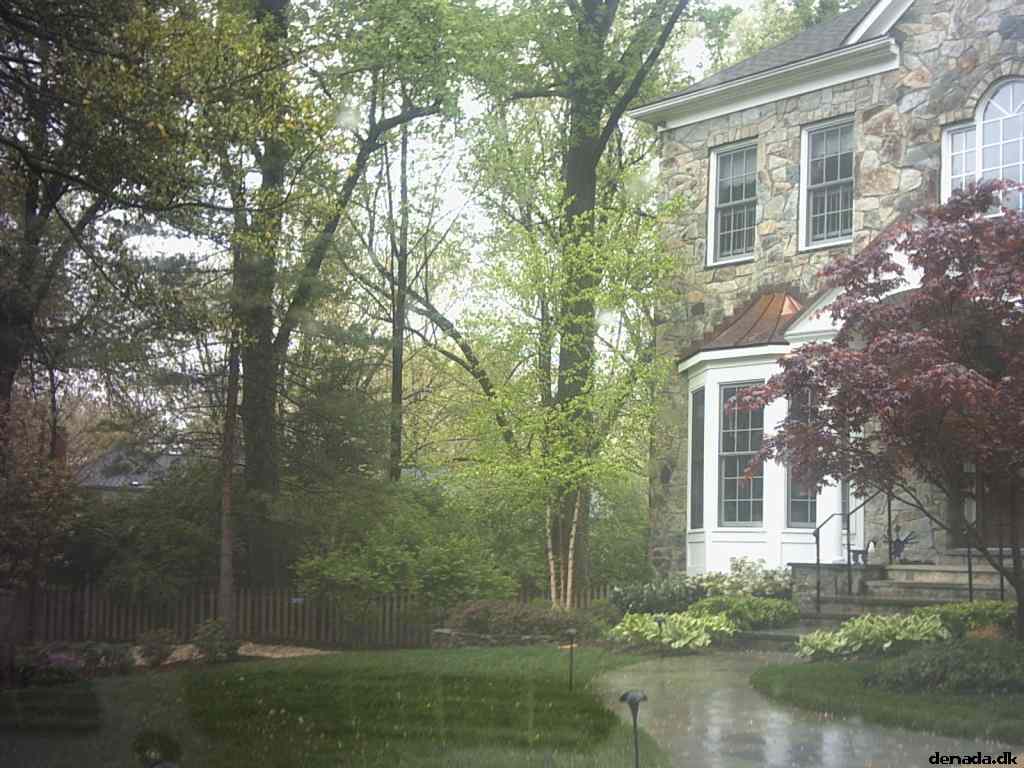 * Image 2
