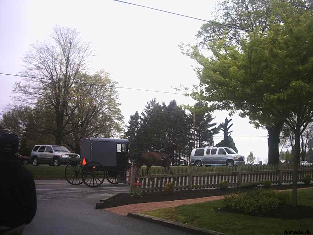 * Image 6