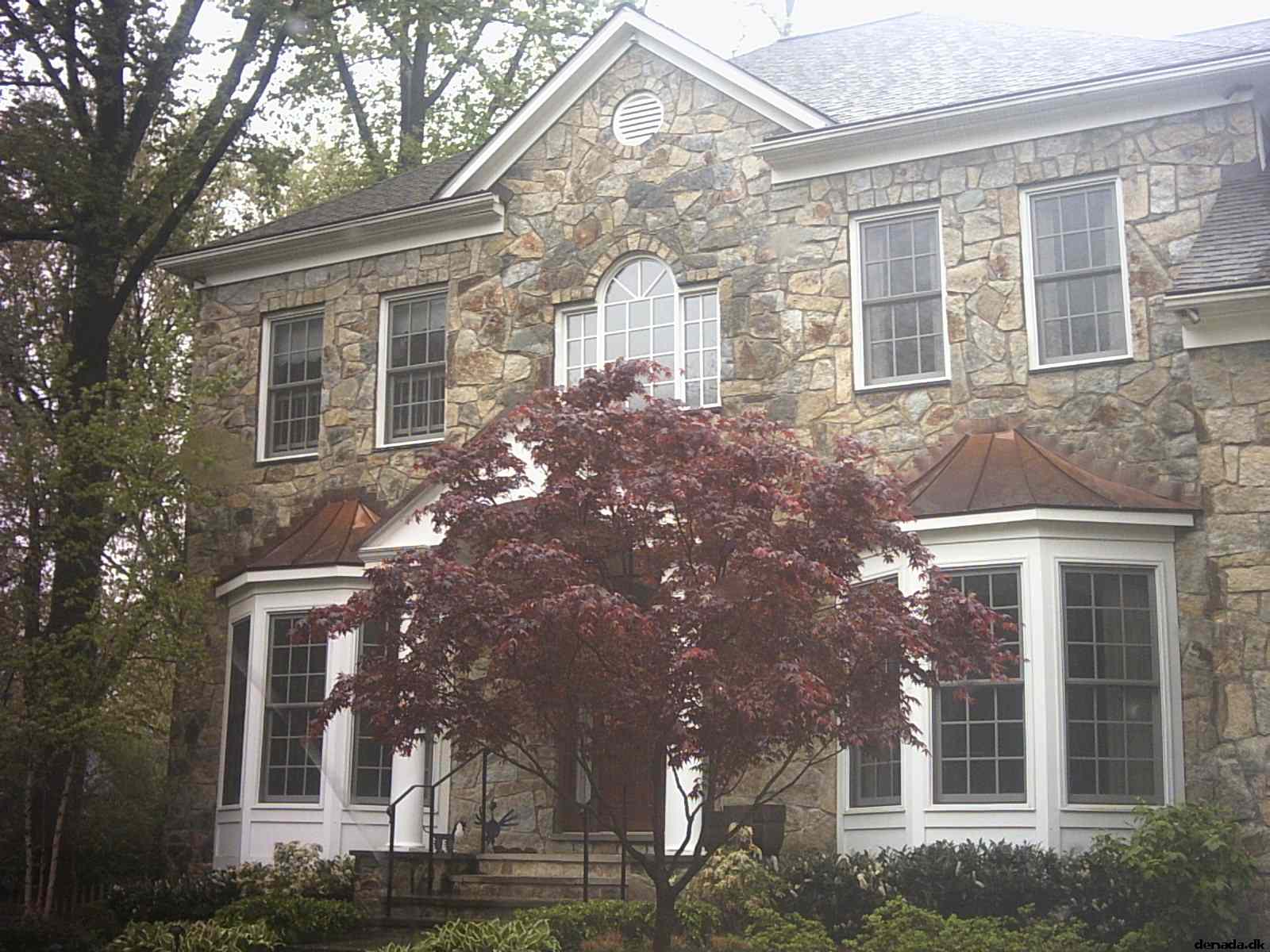 * Image 1