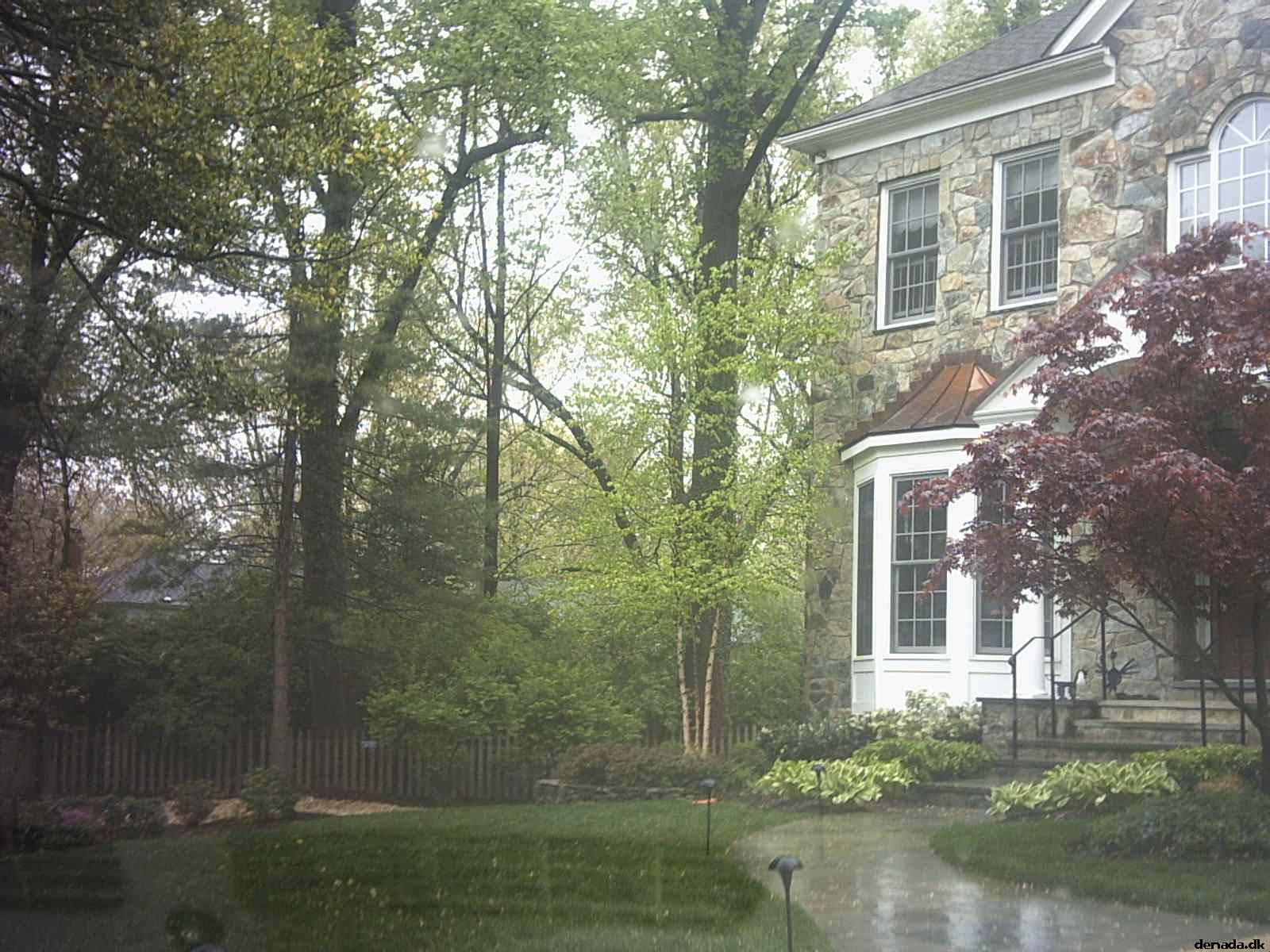 * Image 2