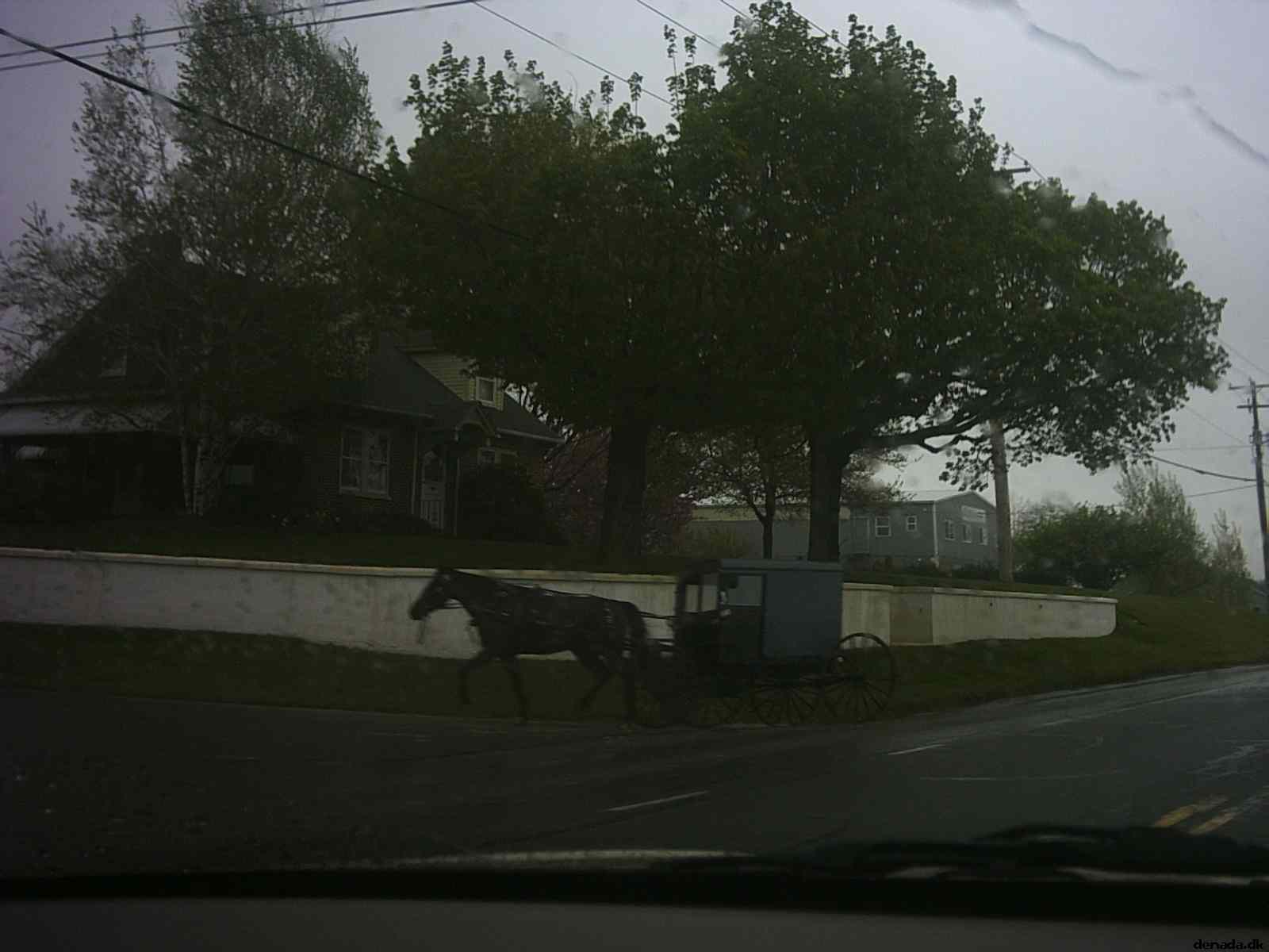 * Image 8