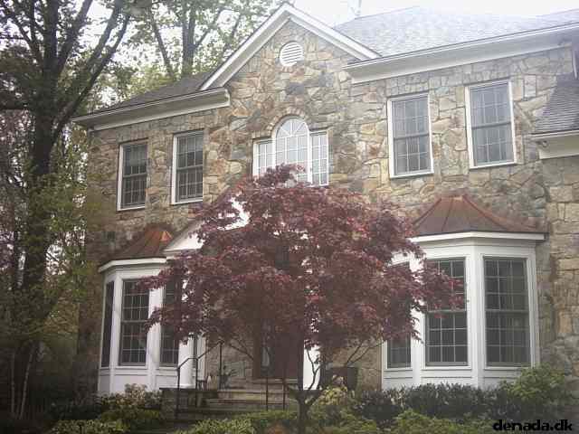* Image 1