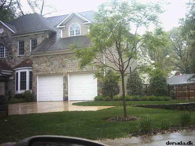 * Image 4