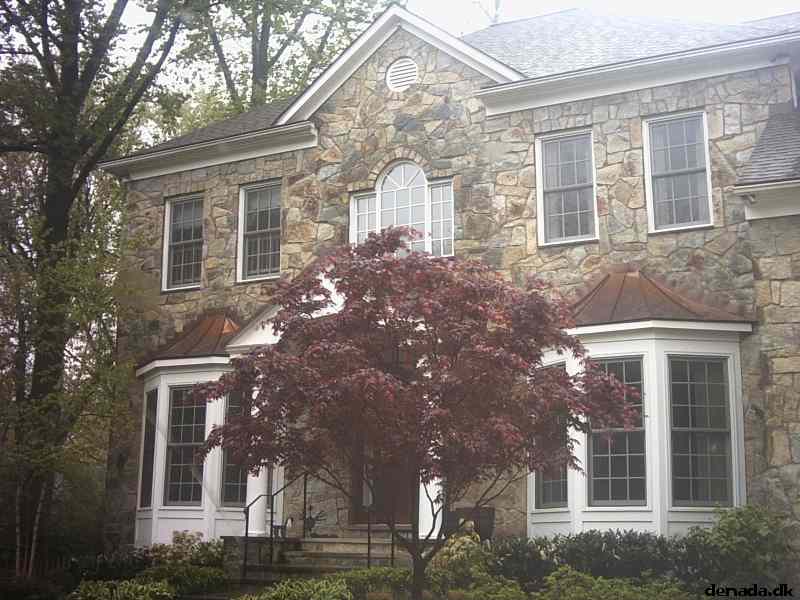 * Image 1