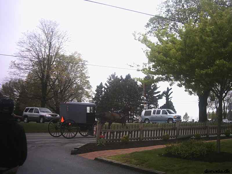 * Image 6