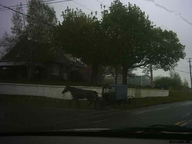 * Image 8
