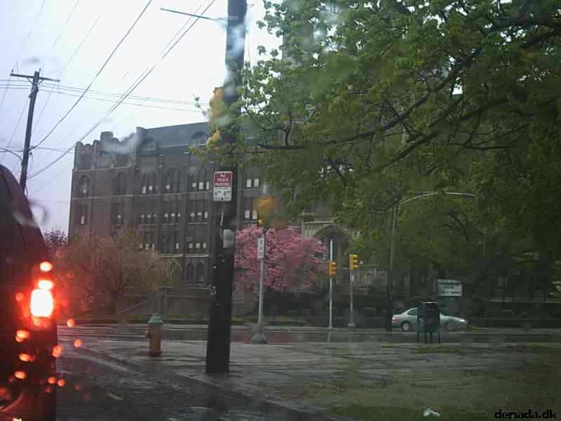 * Image 12