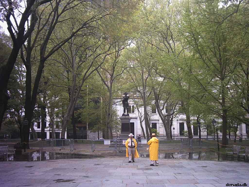 * Image 33