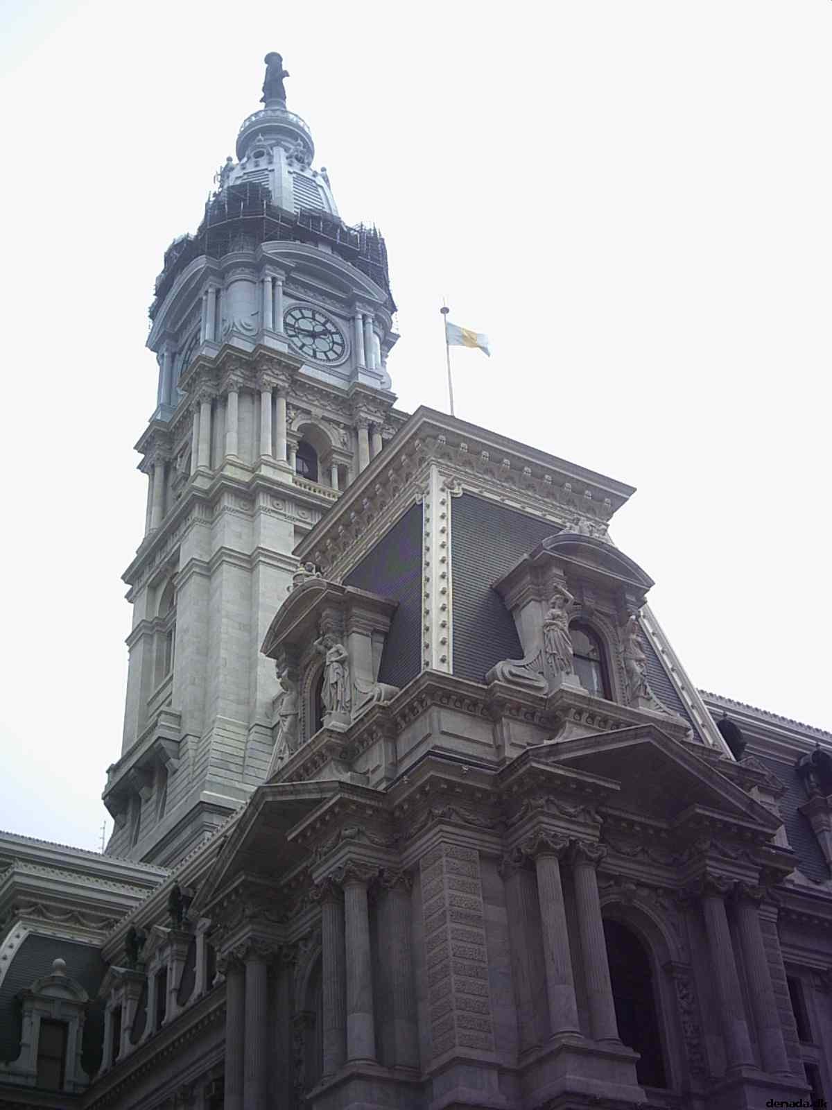 * Image 42