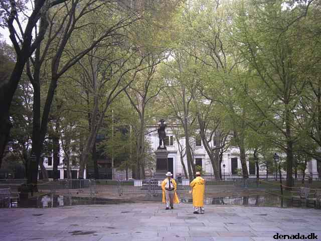 * Image 33