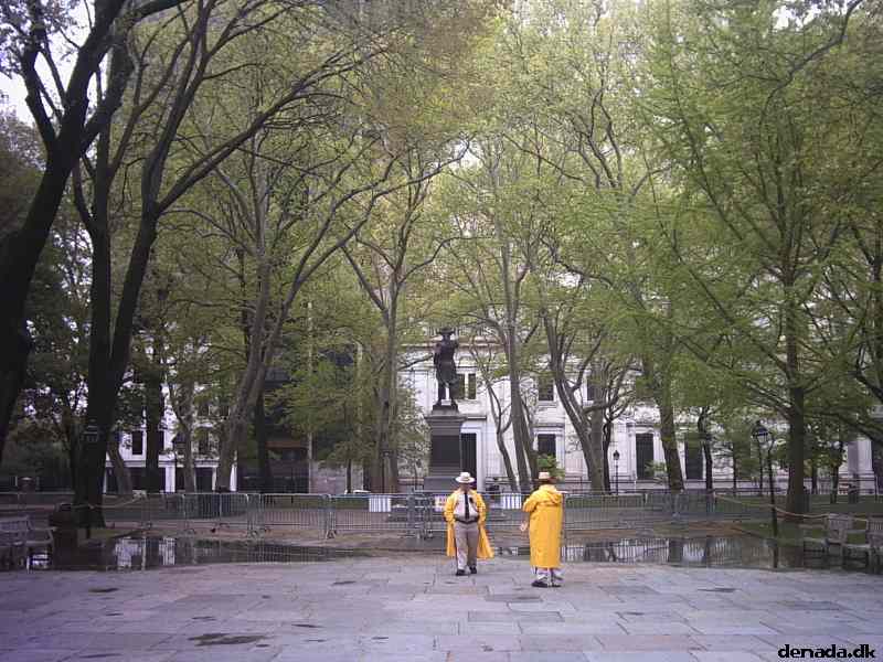 * Image 33