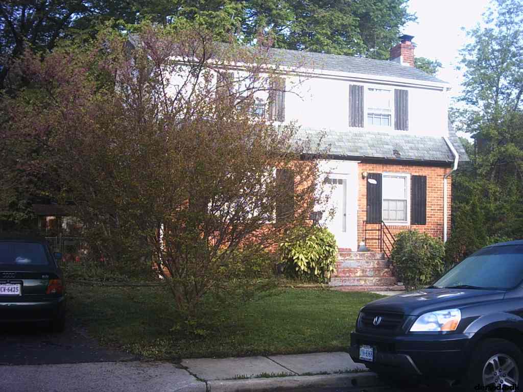 * Image 1