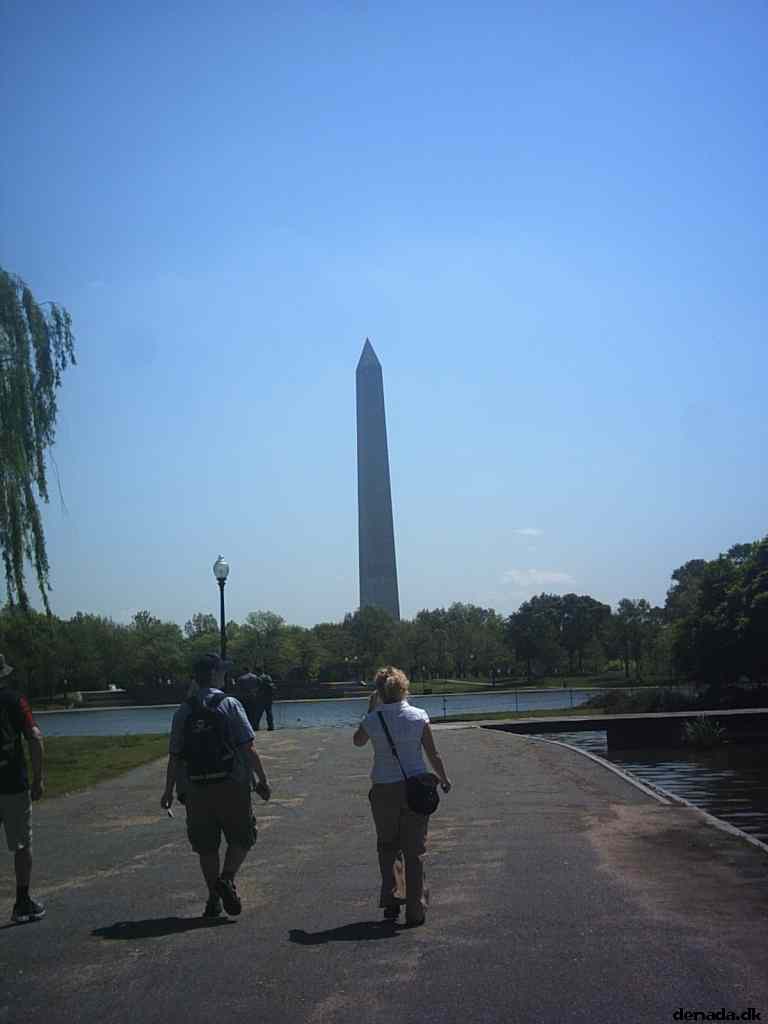 * Image 41