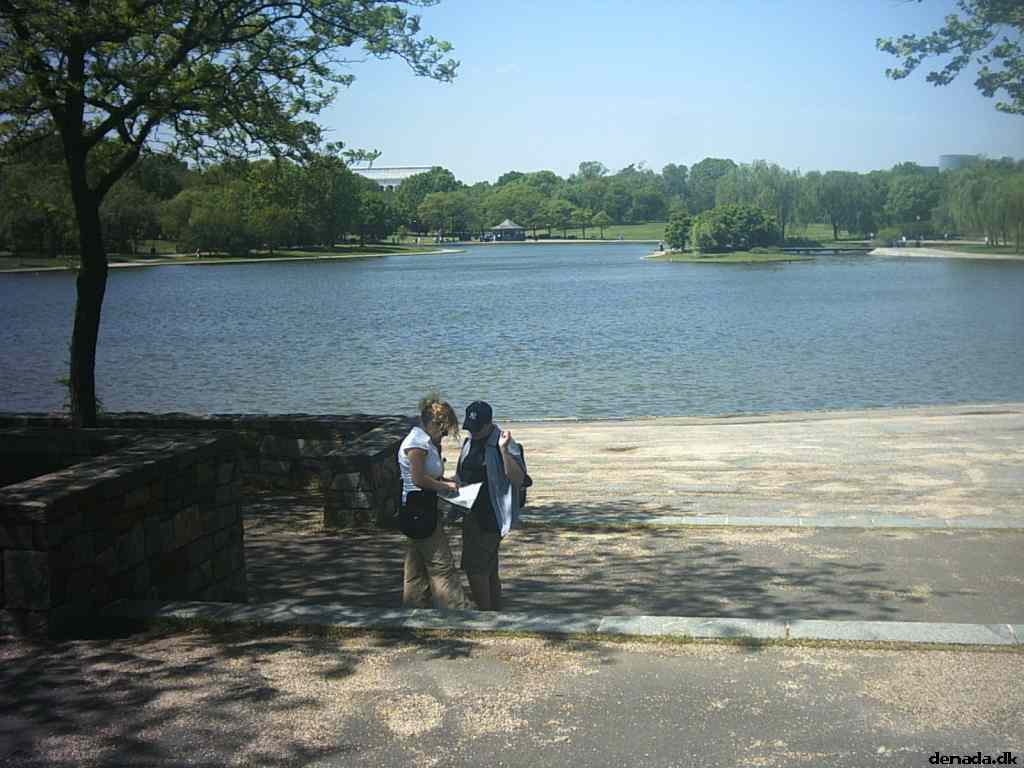 * Image 42