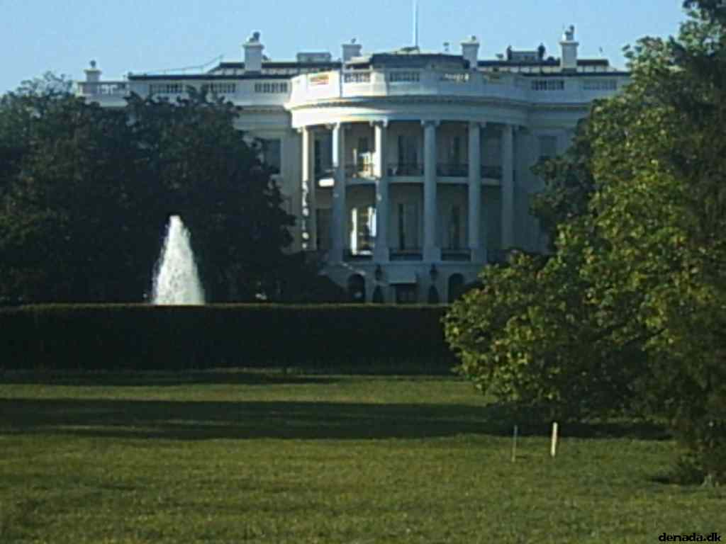 * Image 69