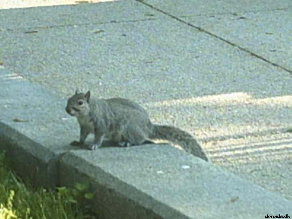 * Image 71