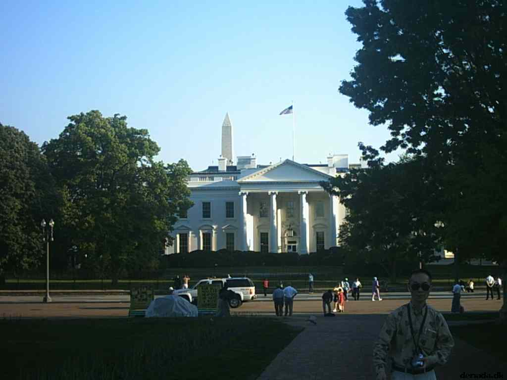 * Image 77