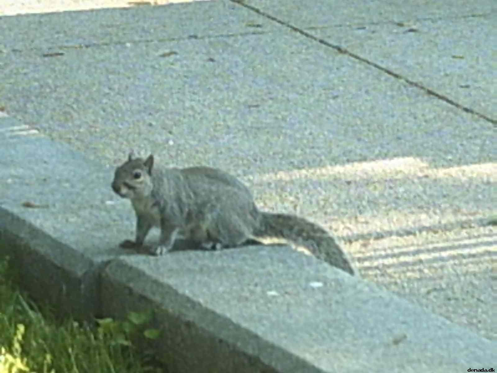 * Image 71