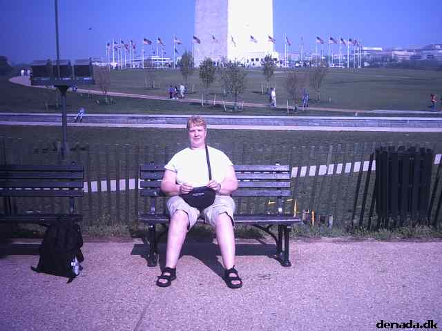 * Image 5