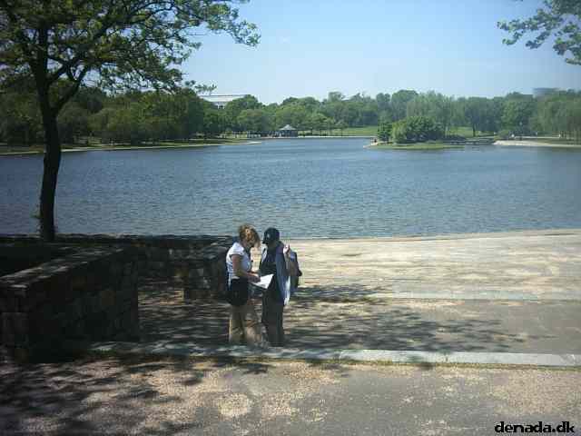 * Image 42