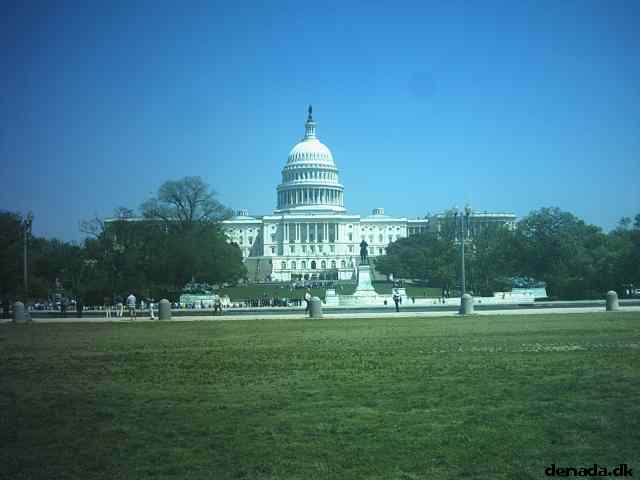 * Image 56