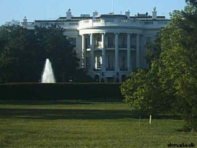 * Image 69