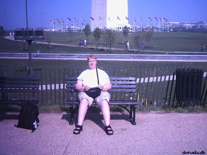 * Image 5