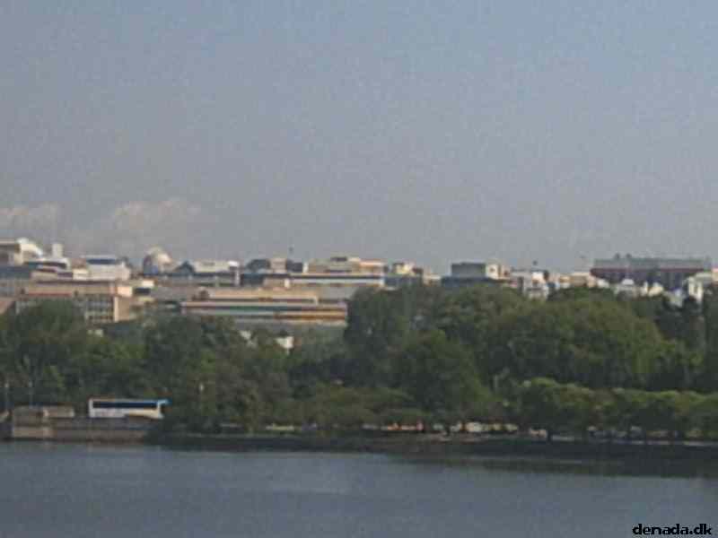 * Image 15