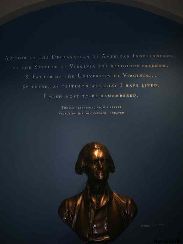 * Image 19